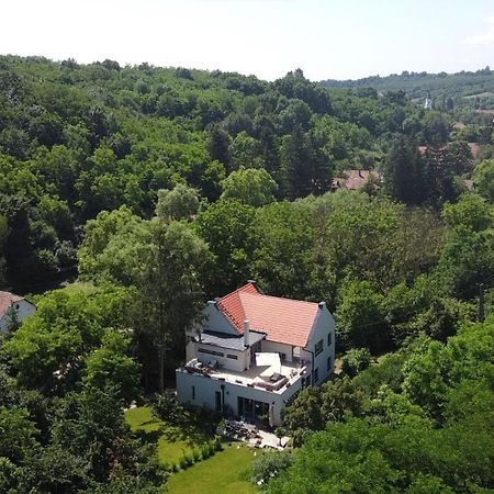 Villa Viridis Buekkalja Borsodgeszt Екстер'єр фото