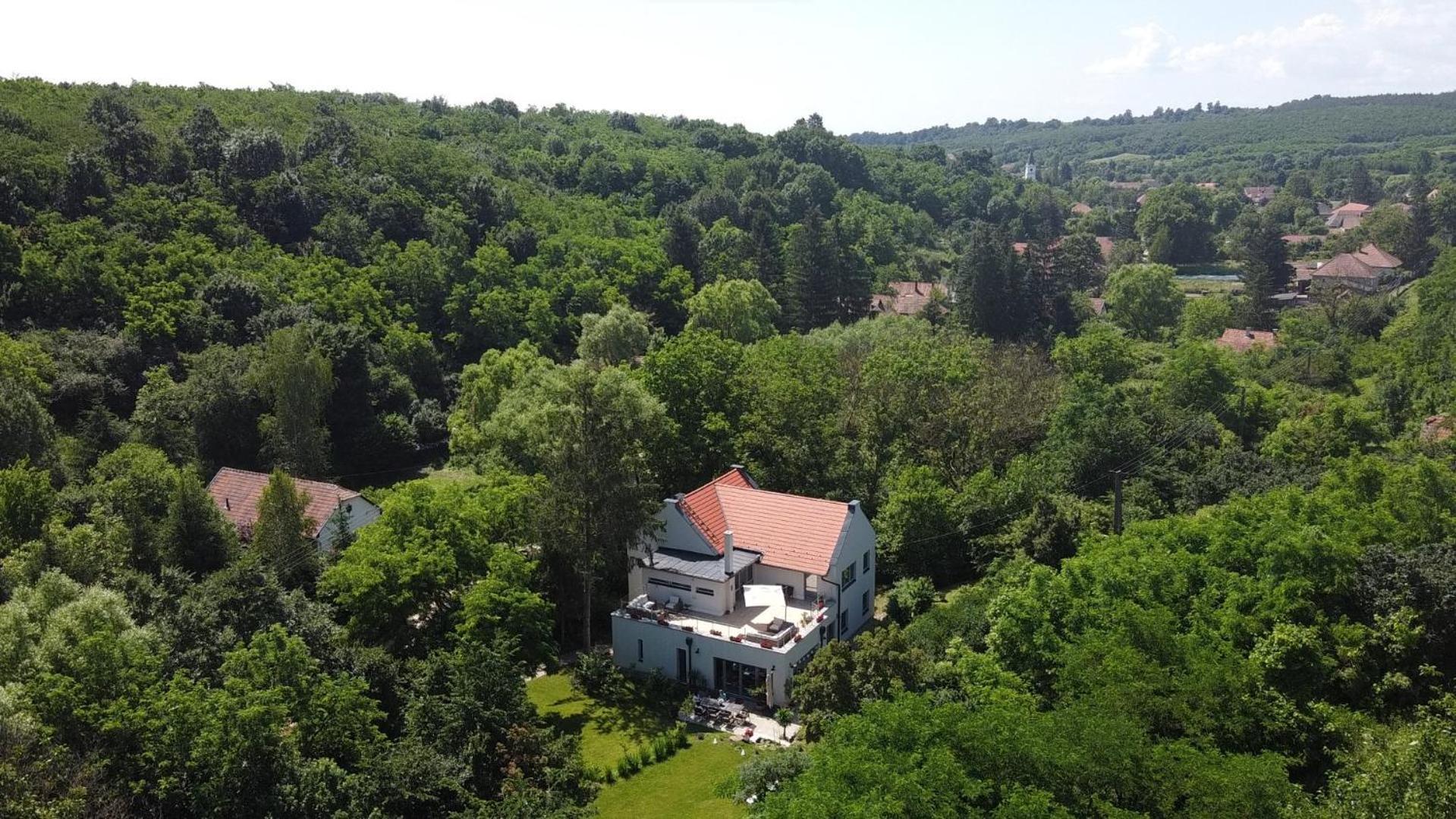 Villa Viridis Buekkalja Borsodgeszt Екстер'єр фото