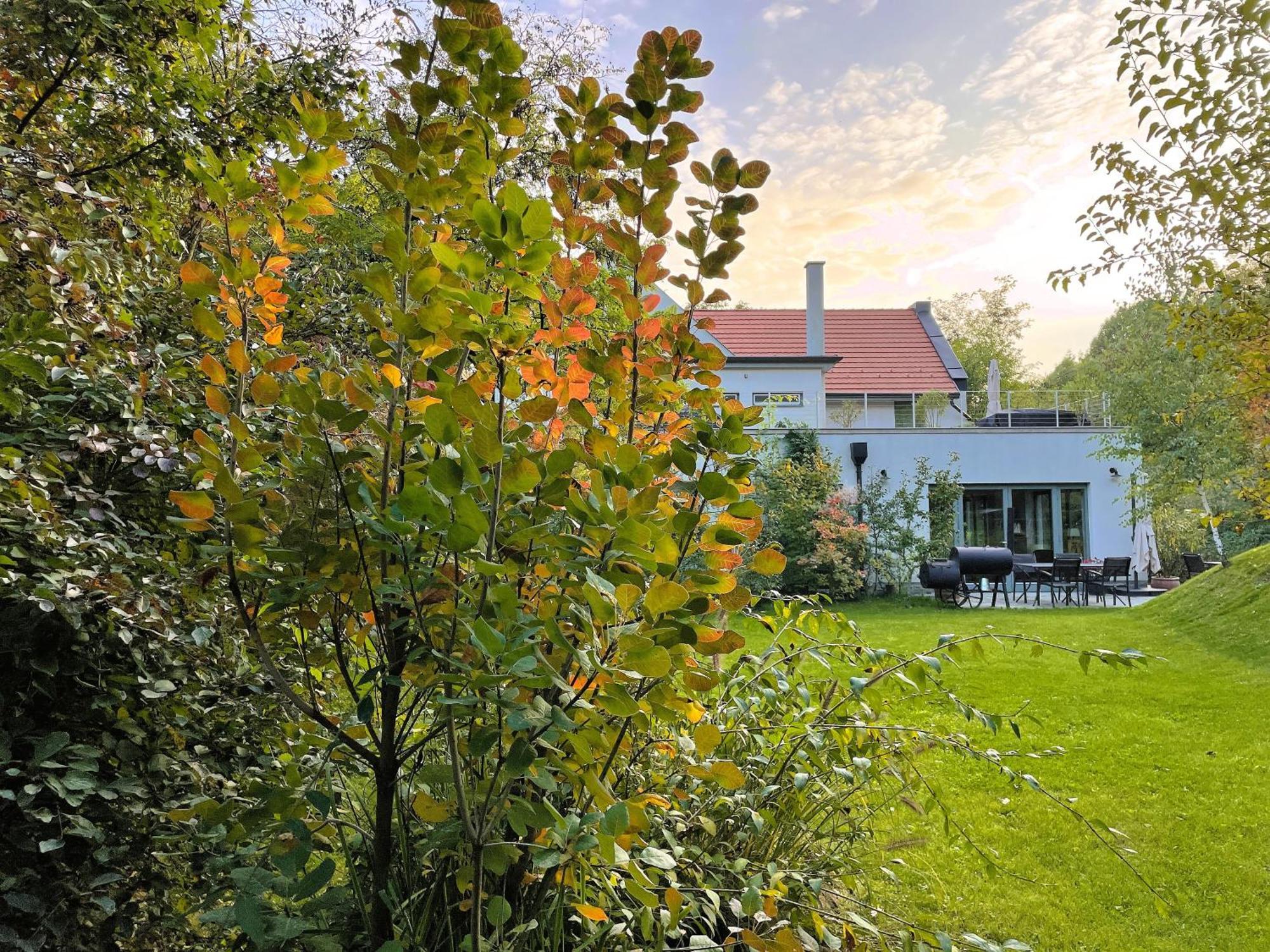 Villa Viridis Buekkalja Borsodgeszt Екстер'єр фото